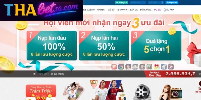 Ưu Đãi Đặc Biệt Thabet - Thông Tin Hot Cần Quan Tâm 2 Cơ hội nhận thưởng trăm tỷ hàng tuần