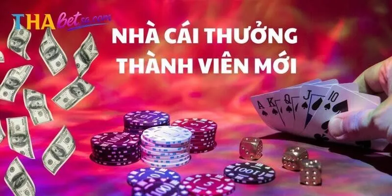 Tìm hiểu tổng quan về mã khuyến mãi Thabet đặc biệt