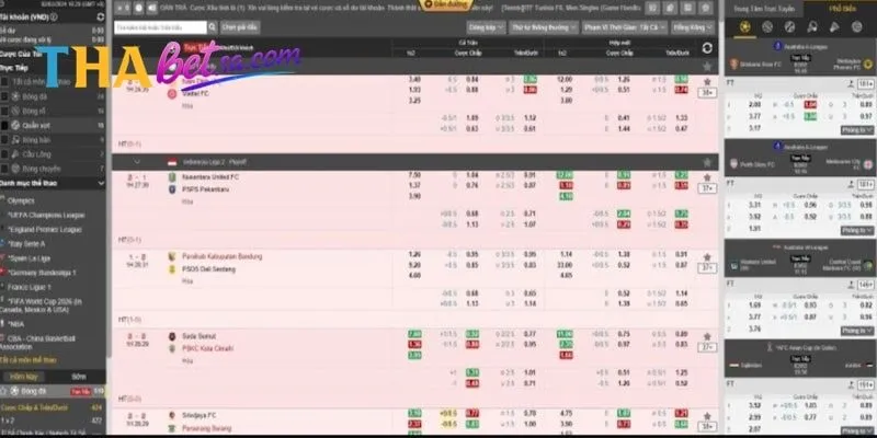 CÁ CƯỢC THỂ THAO THABET - ĐOÁN TRÚNG NHẬN THƯỞNG KHỦNG 4 Sảnh thể thao IM càng chơi càng mê